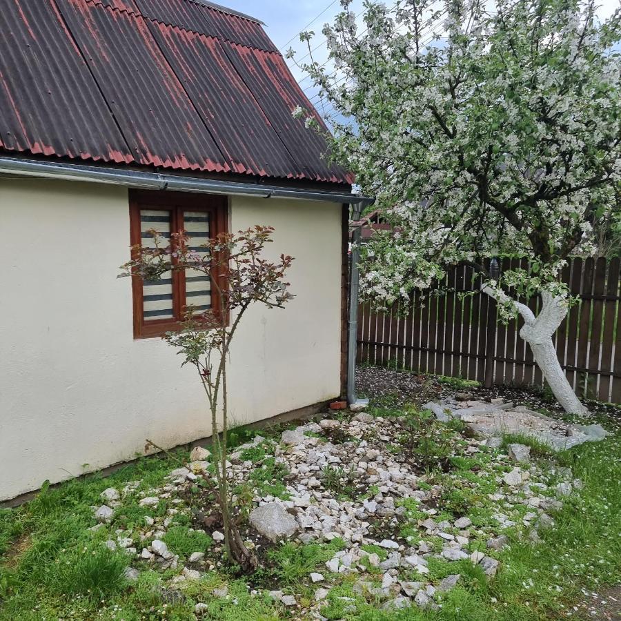 Vila Paula & Spa Sovata Exterior photo
